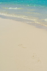 Similar image 5630150