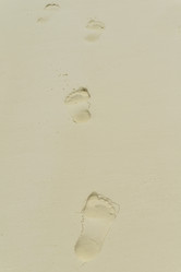 Similar image 5630155