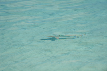 Similar image 5630159