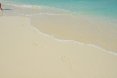 Similar image 5630166