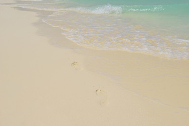 Similar image 5630179