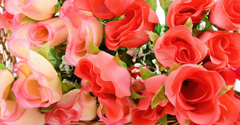 Similar image 5630278