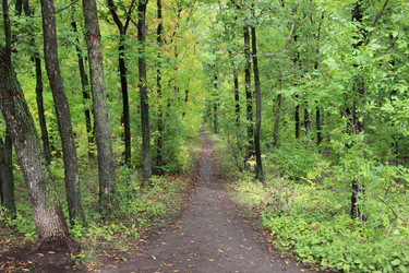 Similar image 5630285