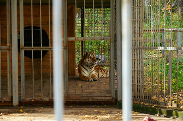 Similar image 5630286