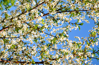 Similar image 5630300