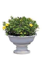 Similar image 5630405