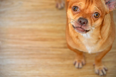 Similar image 5630424