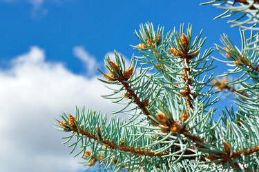 Similar image 5630426