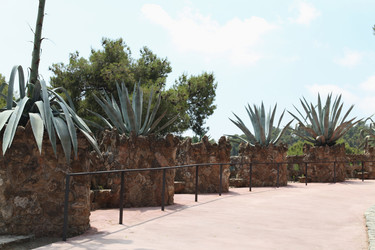 Similar image 5630439