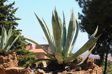 Similar image 5630440