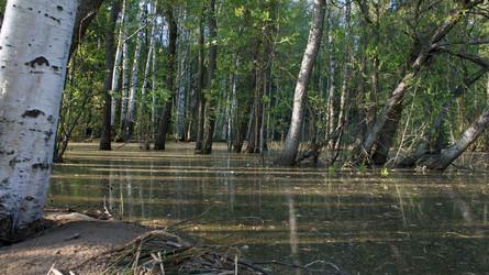 Similar image 5630537