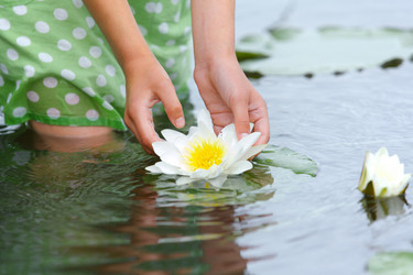 Similar image 5630807