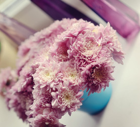 Similar image 5630835