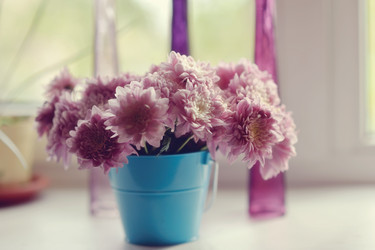 Similar image 5630836