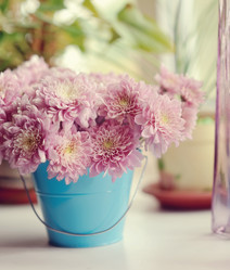 Similar image 5630843