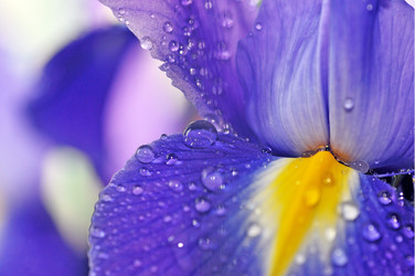 Similar image 5630852