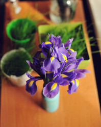 Similar image 5630853