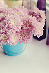 Similar image 5630859