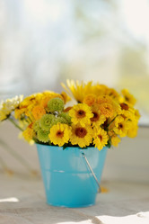 Similar image 5630865