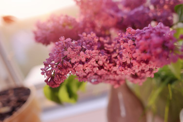 Similar image 5630875