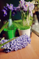 Similar image 5630877