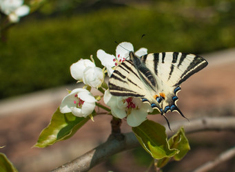 Similar image 5630878