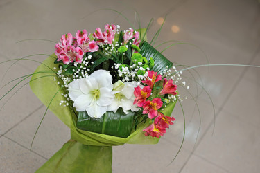 Similar image 5630879