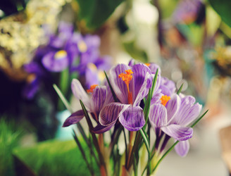 Similar image 5630881