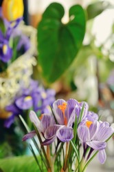 Similar image 5630882