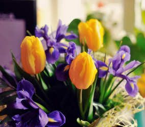 Similar image 5630885