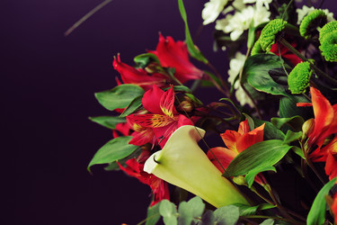 Similar image 5630886