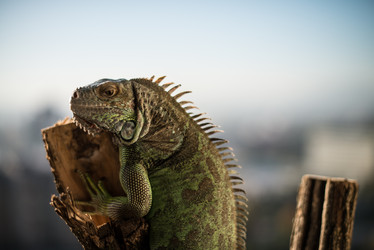 Similar image 5631988