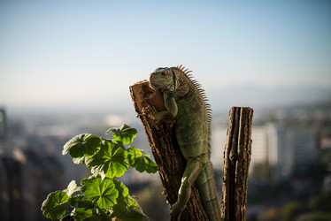 Similar image 5631991