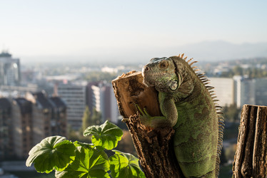 Similar image 5631992