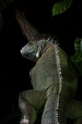 Similar image 5631998