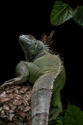 Similar image 5632003