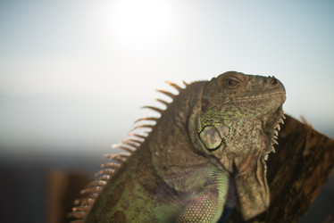 Similar image 5632008