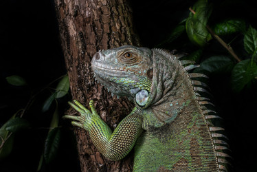 Similar image 5632026