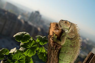 Similar image 5632039