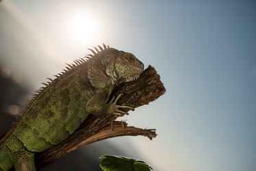 Similar image 5632046