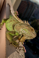 Similar image 5632050