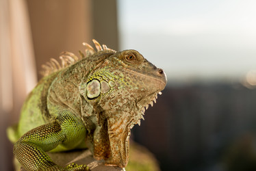 Similar image 5632052