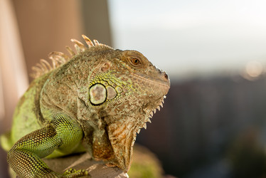 Similar image 5632054