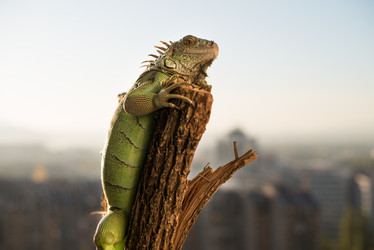 Similar image 5632055