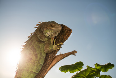 Similar image 5632058