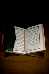 Similar image 5632069