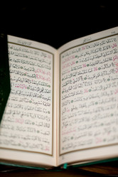 Similar image 5632071