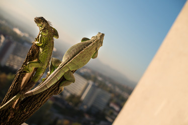 Similar image 5632080