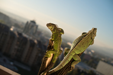 Similar image 5632083