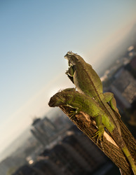 Similar image 5632087